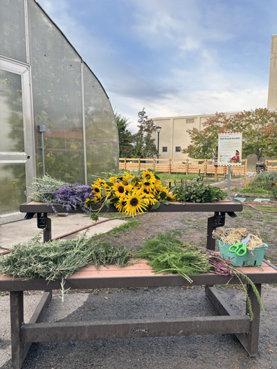Flowers and more on a picnic table harvested in Nuh Eevaat Garden.