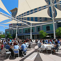 Photos & Video: Summer Fiesta